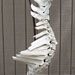 Texas artist sculptor Ken Arthur - Bone Spiral Mixed Media - Bleached Cattle Bones and Steel