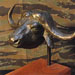 Texas artist sculptor Ken Arthur - Cape Buffalo - Cast Bronze, Steel, and Wood