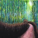 Texas painter artist Ken Arthur Bamboo Forest Painting- Acrylic and Board