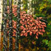 Texas artist Ken Arthur Autumn Painting - Acrylic and Enamel