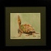 Texas painter artist Ken Arthur - Bog Turtle Painting